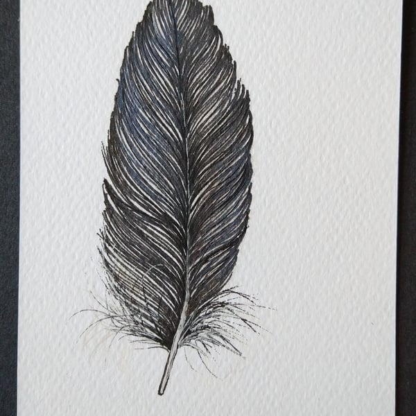 Small Feather Original Drawing