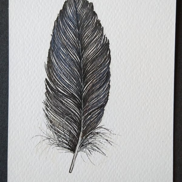 Small Feather Original Drawing