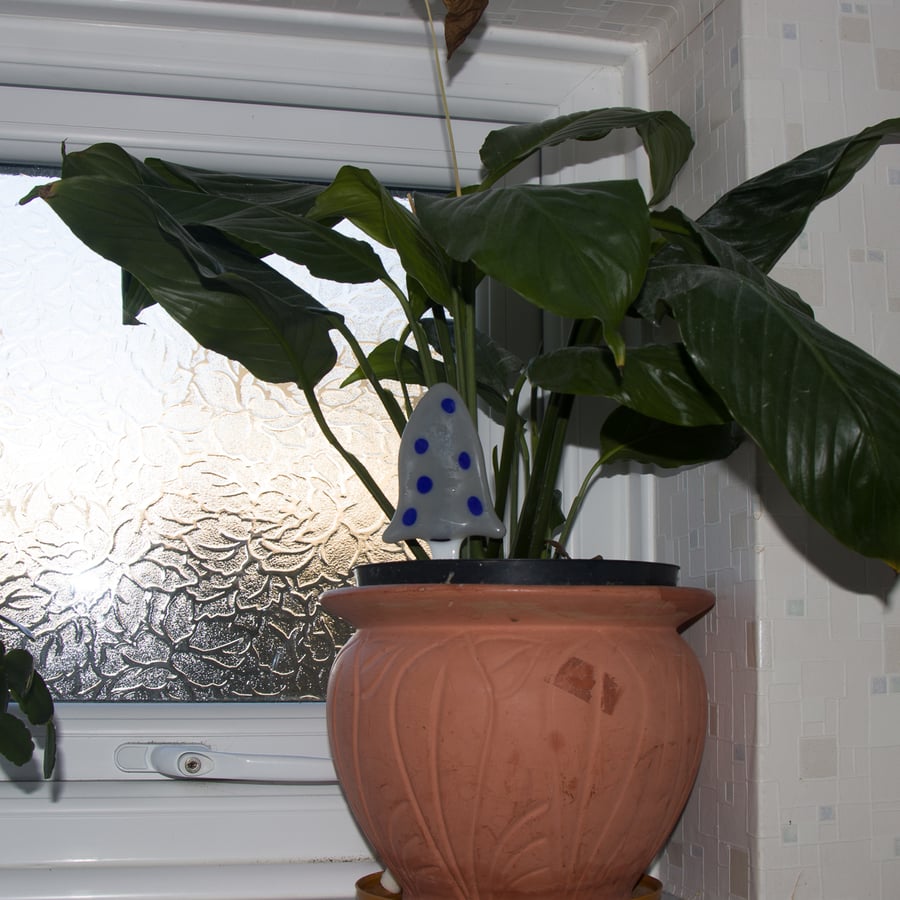 Grey Pot Toadstool - Grey with Blue Spots - 3201-04