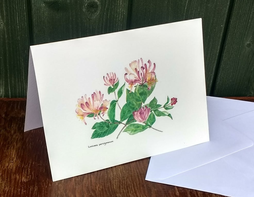 Blank greetings card from our own original watercolour painting of Honeysuckle.