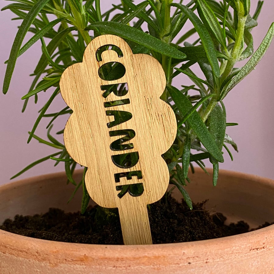 Wood coriander herb marker, indoor gardener unique gifts for plant lovers