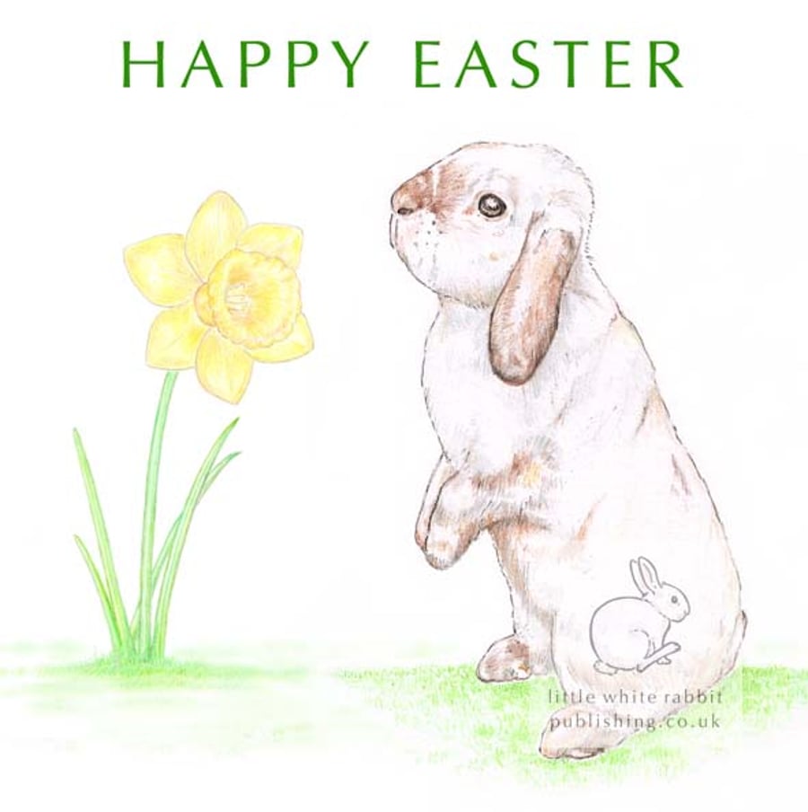 Beattie and a Daffodil - Easter Card