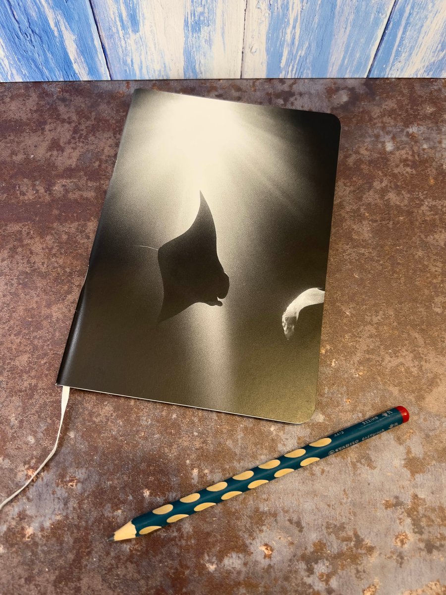 Notebook, Marine themed, A5 (ish), made from up-cycled and recycled materials.