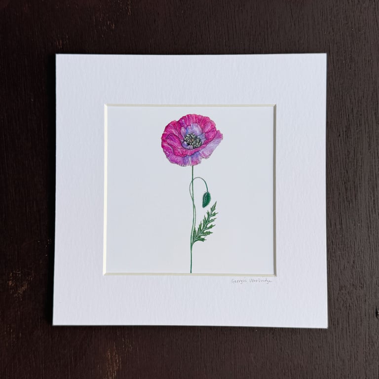'Shirley Poppy' 8" x 8" Mounted Print