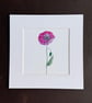 'Shirley Poppy' 8" x 8" Mounted Print