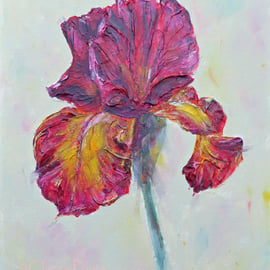 Bearded Iris Art Original Acrylic Painting on Canvas OOAK Flower