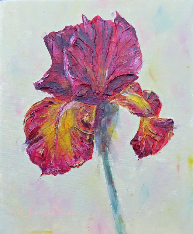 Bearded Iris Art Original Acrylic Painting on Canvas OOAK Flower