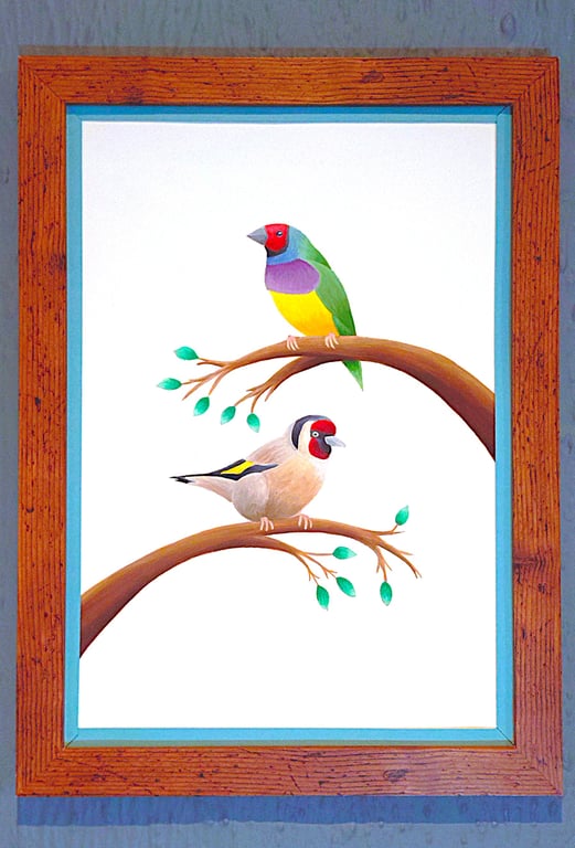 Handmade Framed A3 Print Colourful Gouldian GoldFinch Sky Blue Border Wallart