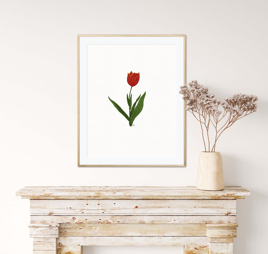 Red Tulip Illustration Art Print, Tulip Art Print, Tulip Wall Art