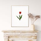 Red Tulip Illustration Art Print, Tulip Art Print, Tulip Wall Art