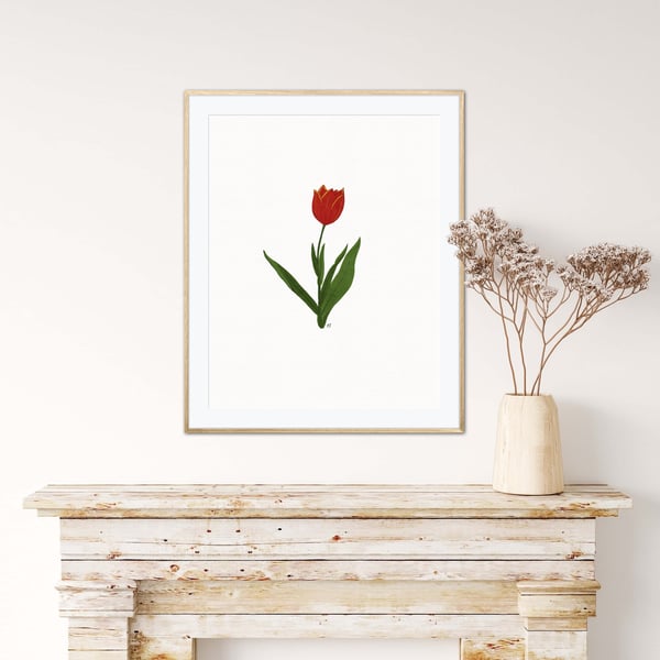 Red Tulip Illustration Art Print, Tulip Art Print, Tulip Wall Art
