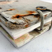 The Wren and the Writing Desk