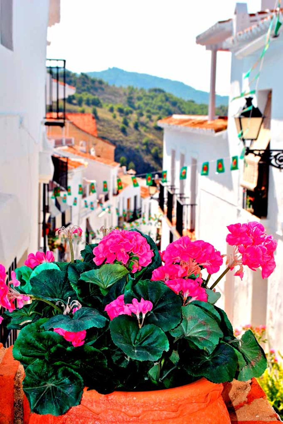Frigiliana Andalusia Costa Del Sol Spain Photograph Print