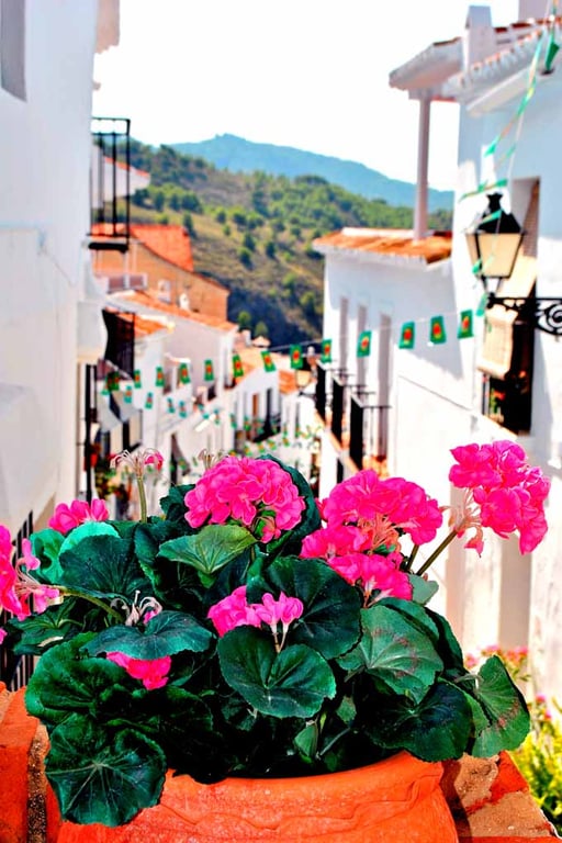 Frigiliana Andalusia Costa Del Sol Spain Photograph Print
