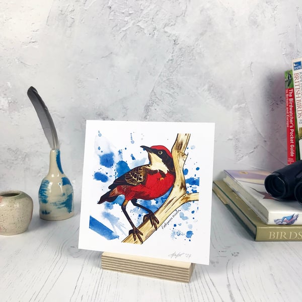 Crimson Chat Bird Print