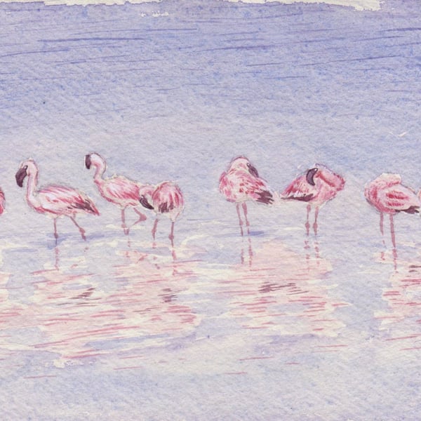 A Flamboyance of Flamingos Original Watercolour Painting