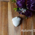 Autumn Spice Vegan Wax Melt 