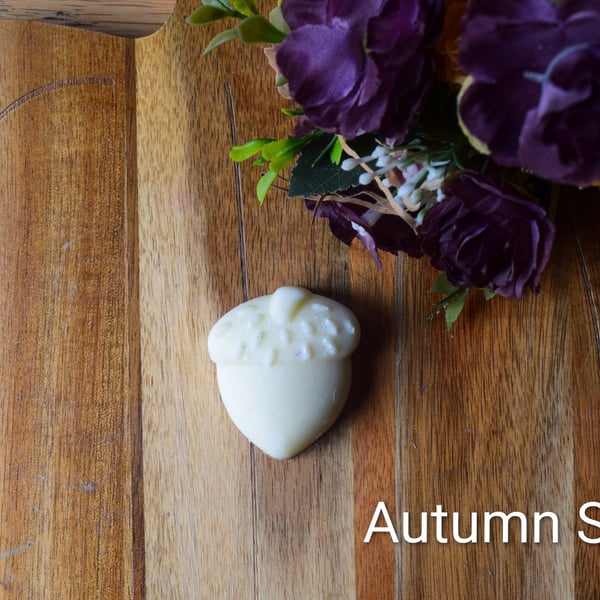 Autumn Spice Vegan Wax Melt 