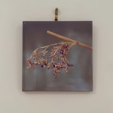 Perfectly Imperfect - Autumn seed head mini ceramic tile picture