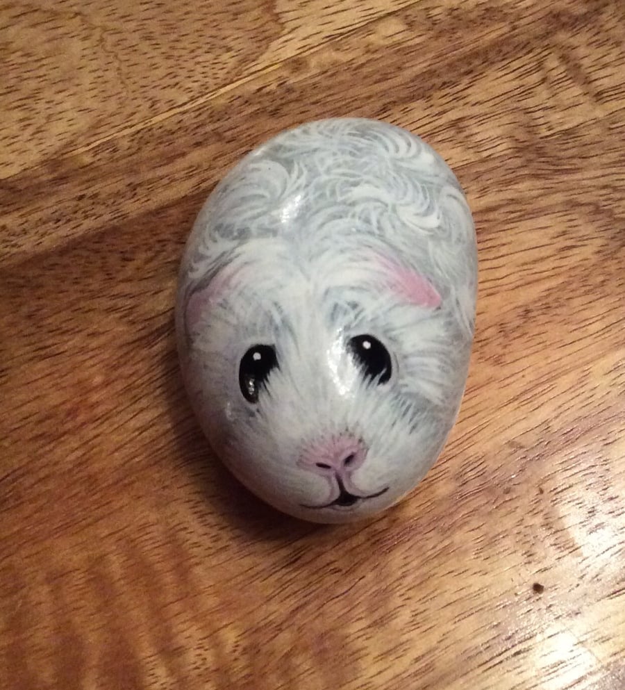 Guinea pig hand painted on stone