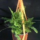 Sparkle Knitted Plant Hanger with Metal S Ring