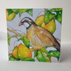 'A Partridge in a Pear Tree' Christmas card.