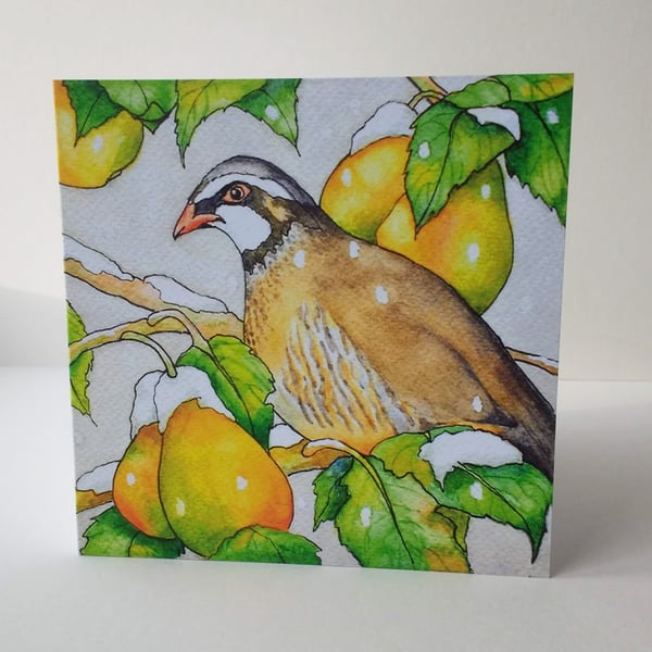 'A Partridge in a Pear Tree' - Christmas card - Blank, no message.