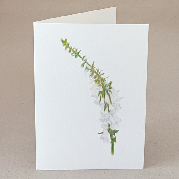 Foxglove blank inside card