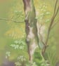 Tree Drawing - chalk pastel and coloured pencil. Grizedale Forest, Lake District - Image 1