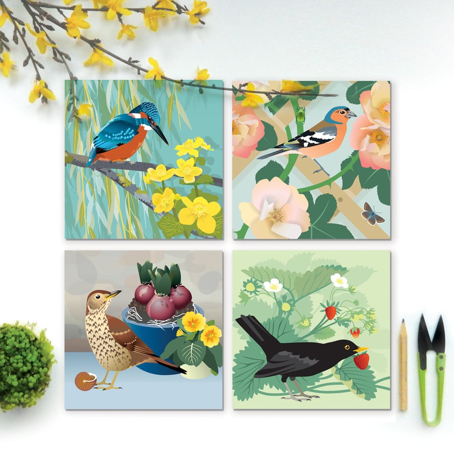British Birds Summer Cards – 4 Illustrated Eco-Friendly Greetings Cards
