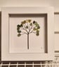 Simple sea glass tree in mini 12cmx12cm shadow box frame shades of green seaham 