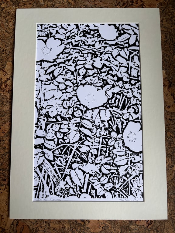 Monochrome Singular Print  Eco Friendly Unique Gifts Rose picture