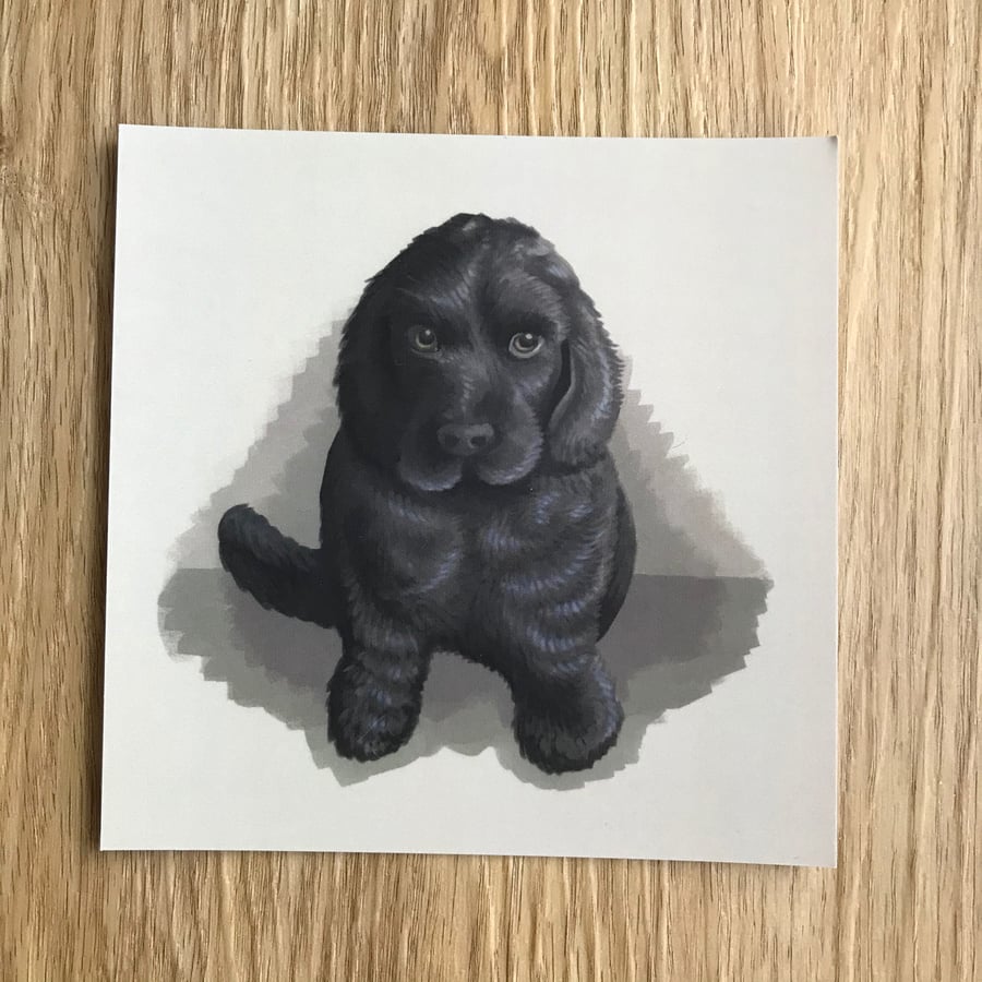 Black Cocker Spaniel Puppy Square Post Card Print