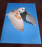 BARN OWL PHOTOGRAPH 16x12