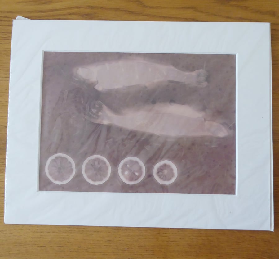 Sustenance Print from Original Photogram ivory mount to fit 11x14 inch frame