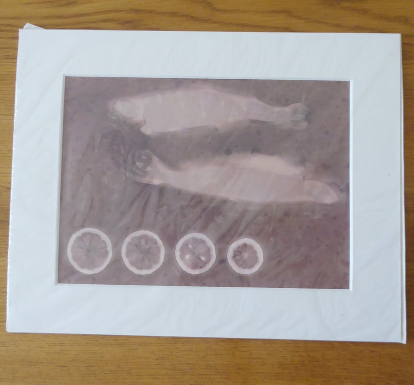 Sustenance Print from Original Photogram ivory mount to fit 11x14 inch frame