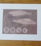 Sustenance Print from Original Photogram ivory mount to fit 11x14 inch frame