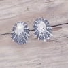 Silver Limpet Shell Ear Studs