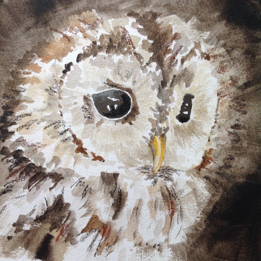 The Owl original watercolour painting 
