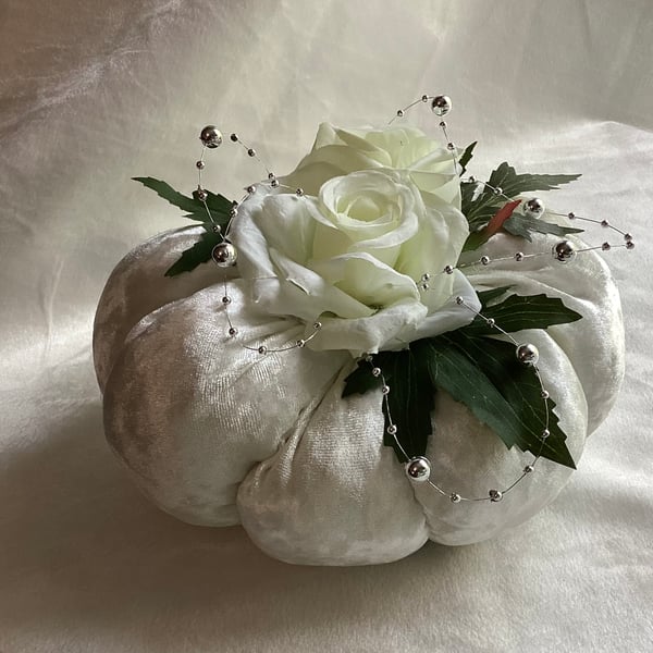 Pumpkin, rose pumpkin, velvet pumpkin