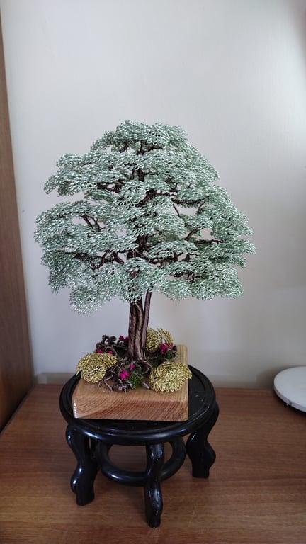 Multi stemmed formal upright bonsai tree on oak 
