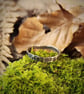 Sterling silver forged band - Image 7