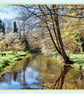 Gooderstone Water Gardens Norfolk Greeting Card A5