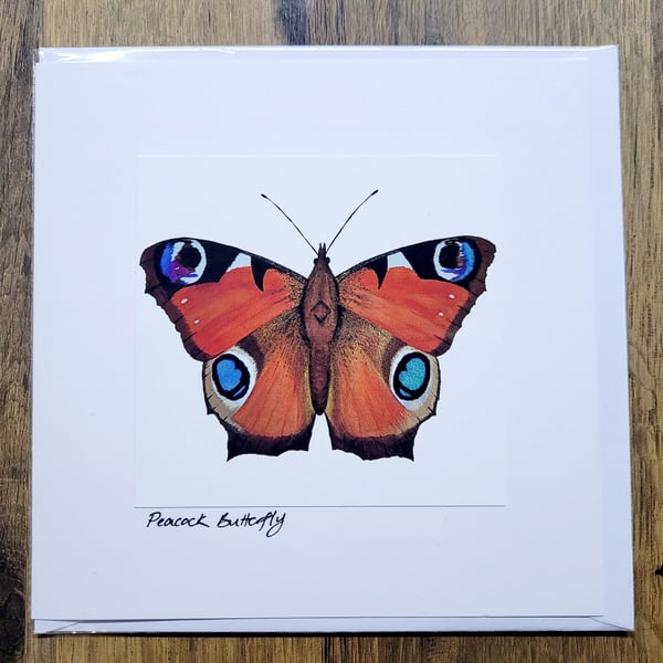 Peacock Butterfly Card