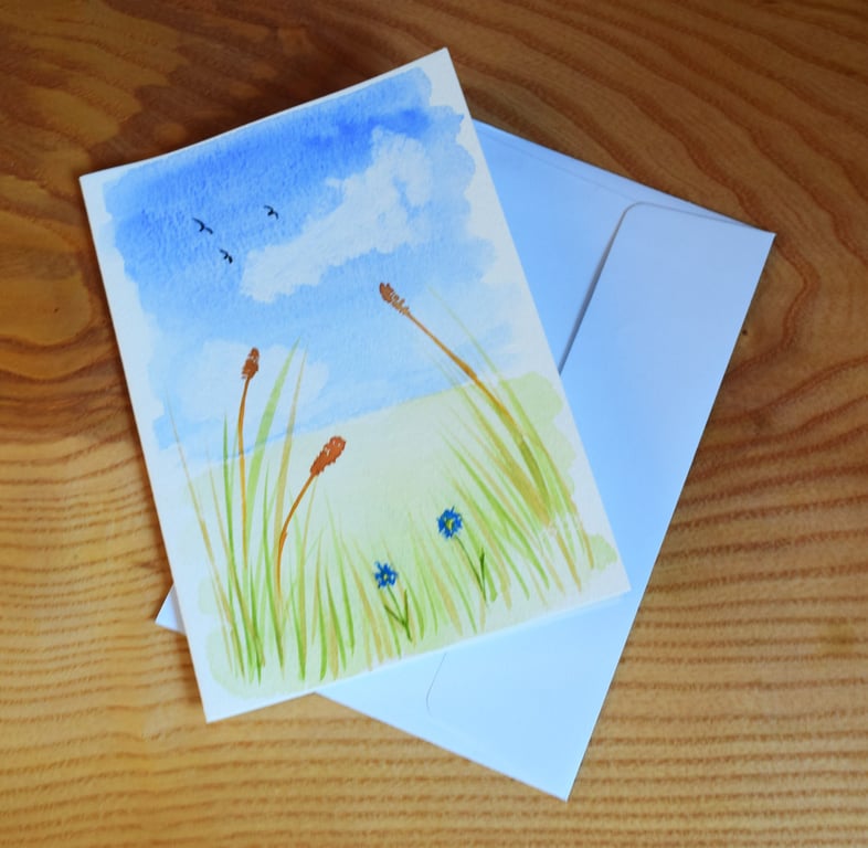 Summer field scene