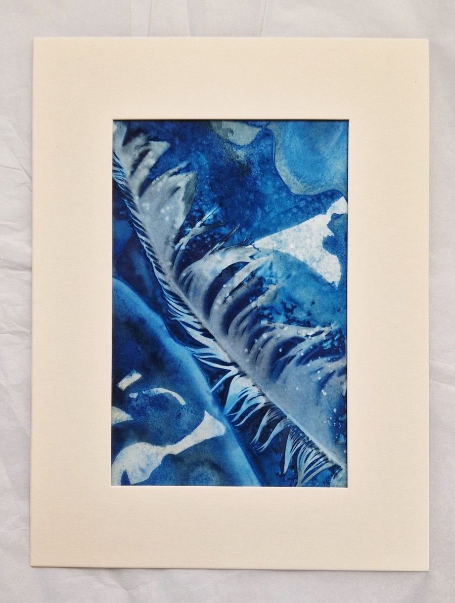 Original cyanotype sun print - Feather