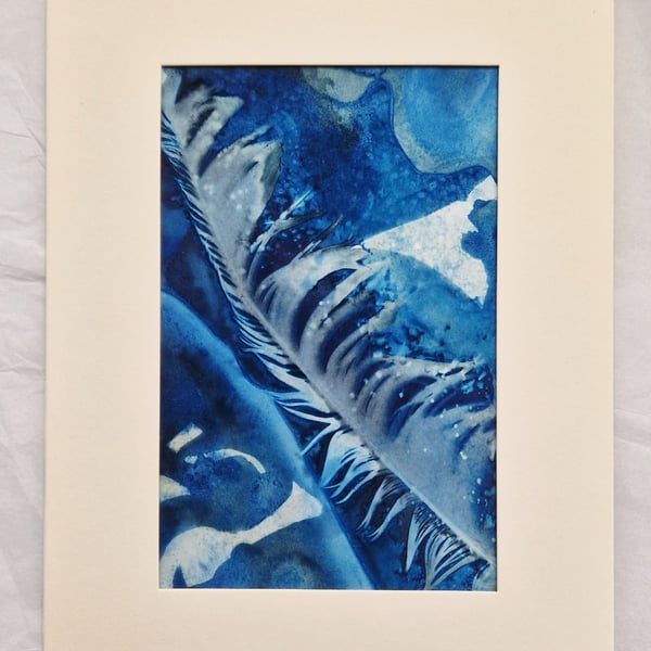 Original cyanotype sun print - Feather