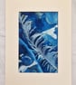 Original cyanotype sun print - Feather