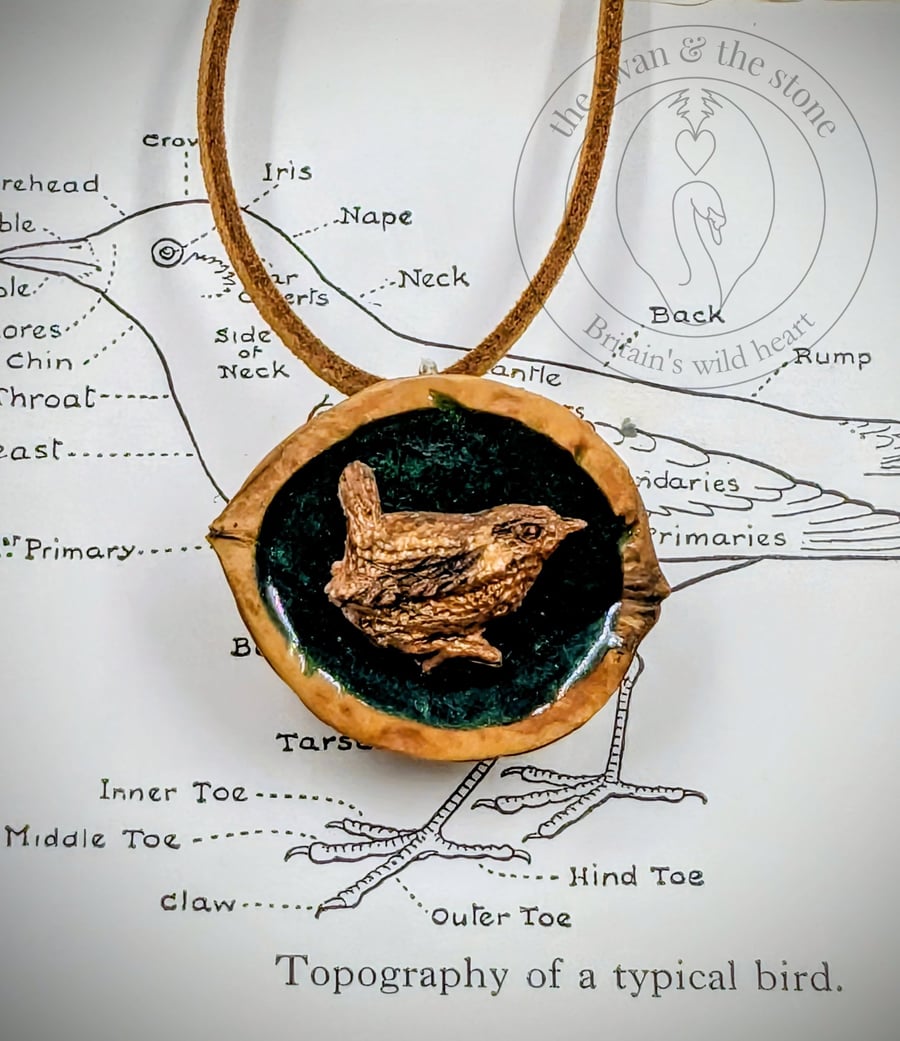 Handmade Wren Wildlife Pendant - Cast in Bronze Resin, Polished Walnut Shell