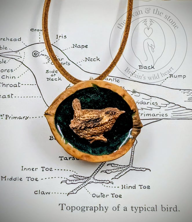 Handmade Wren Wildlife Pendant - Cast in Bronze Resin, Polished Walnut Shell